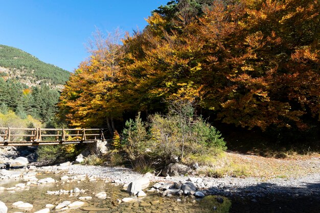 Otoño en el bosque junto a un hermoso río pirenaico