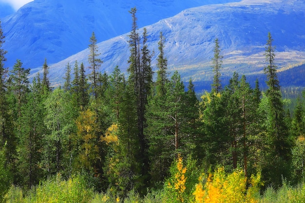 otoño, bosque, montañas, panorama, paisaje, árboles, naturaleza, temporada amarilla