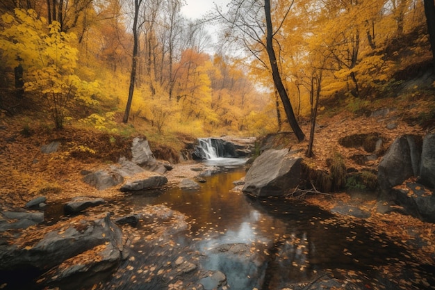 Otoño en el bosque con una pequeña cascada.