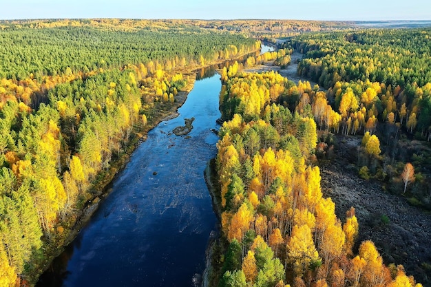 otoño, bosque, taiga, vista, de, drone, amarillo, árboles, paisaje, naturaleza, otoño