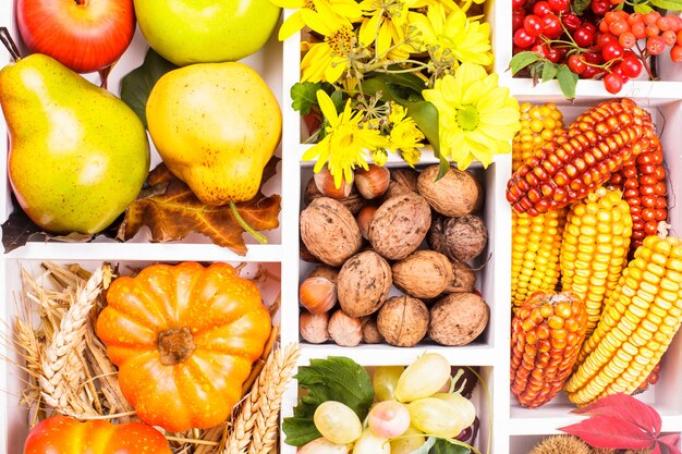 Foto otoño en una caja: frutas, bayas, nueces, flores, maíz y calabazas