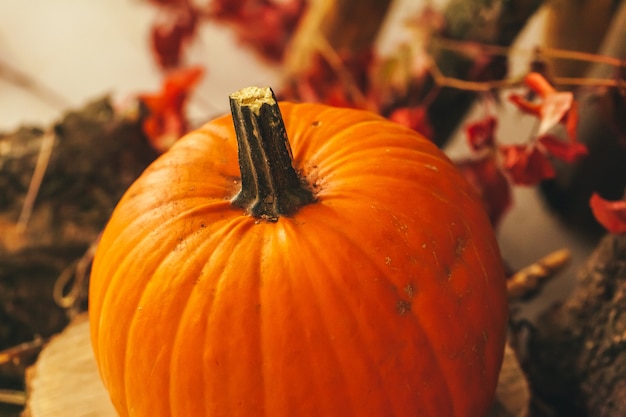 Otoño con calabaza de cerca en la mesa