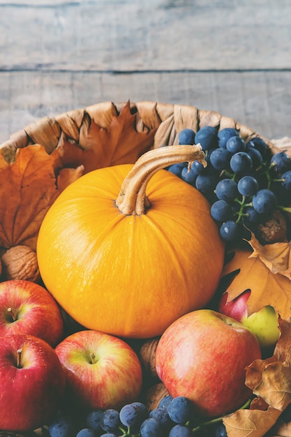 Otoño con calabaza. Día de Gracias.