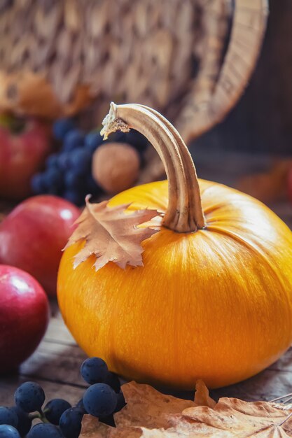 Otoño con calabaza. Día de Gracias.