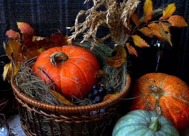 Otoño calabaza rústica