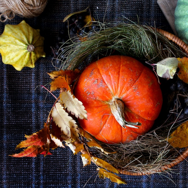 Otoño calabaza rústica