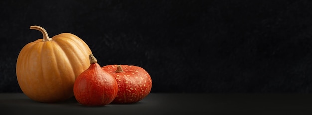 Otoño calabazas amarillas y naranjas sobre un fondo negro