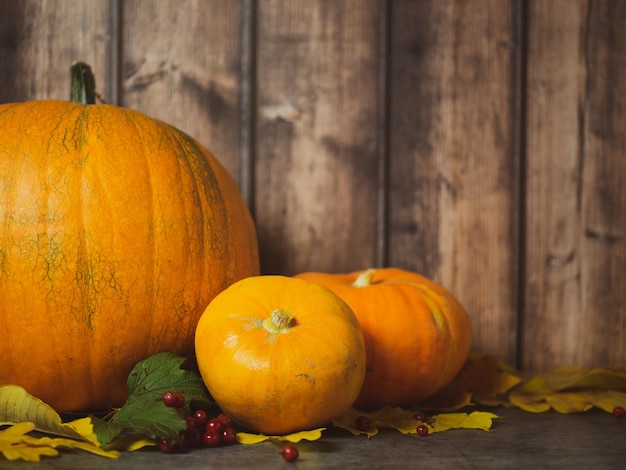 Otoño calabazas de halloween sobre fondo de madera