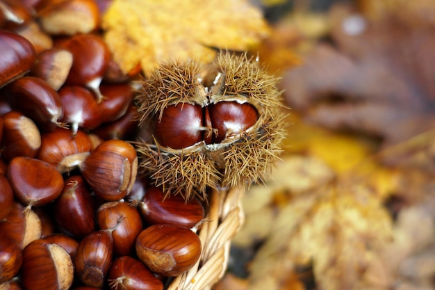 Otoño en Calabria Italia