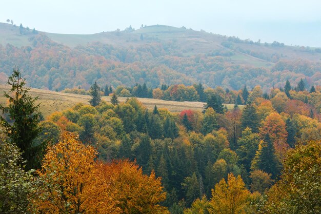 Otoño Cárpatos Ucrania