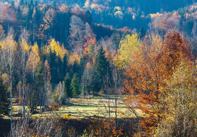 Otoño Cárpatos Ucrania