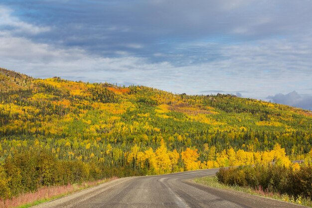 Otoño por carretera