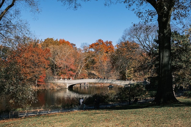 Foto el otoño en el central park de nueva york