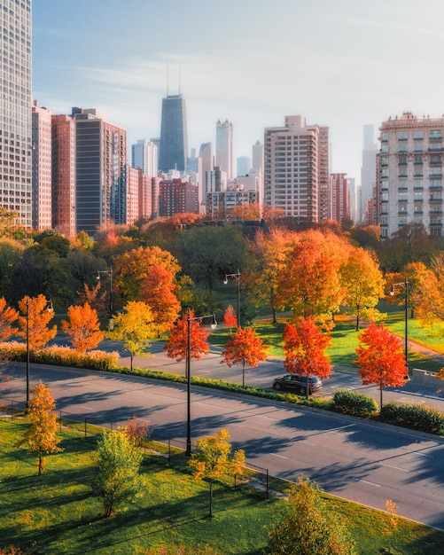 Foto el otoño de chicago