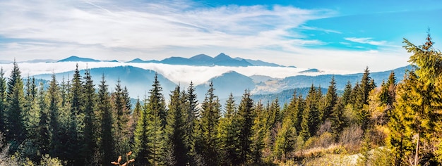 Otoño en las colinas de Mala Fatra cerca de Terchova y zazriva con prados de montaña de hierba iluminados con la cálida luz del amanecer con un cielo azul sin nubes paisaje de Eslovaquia