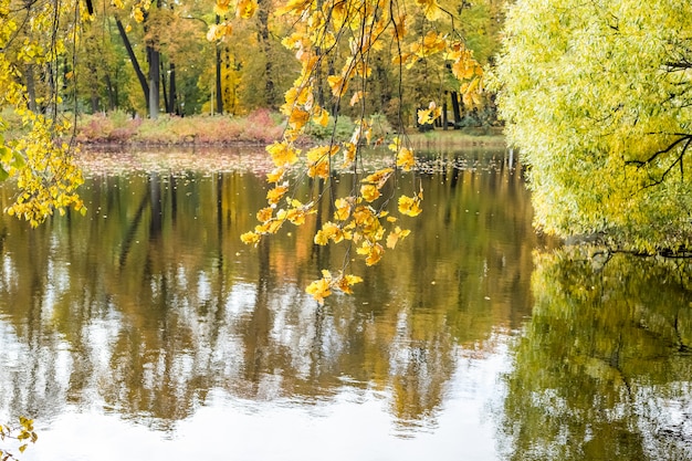 Otoño colorido follaje sobre el lago con hermosos bosques