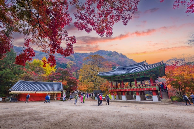 Otoño colorido con hoja de arce en el templo Baekyangsa en el parque nacional Naejangsan Corea del Sur