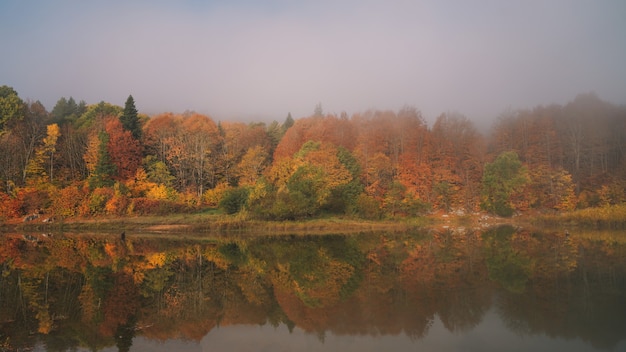 Otoño colorido