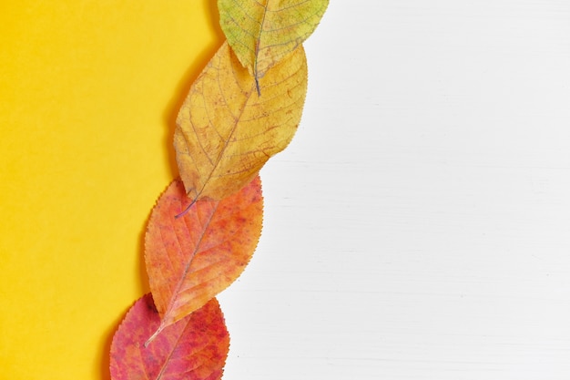 Otoño de concepto de vista superior con hojas secas