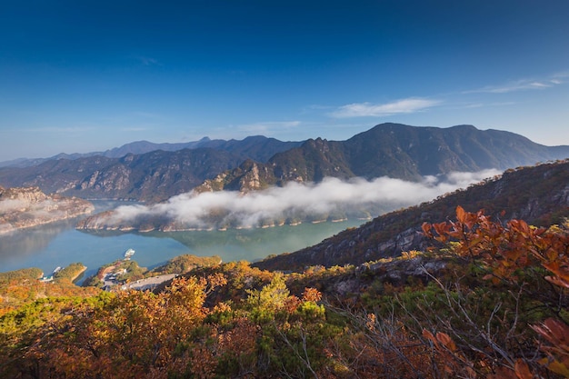 Foto el otoño en corea los pinos se elevan en las rocas en la cima de jebibong por la mañana un mar de niebla fluye a través del río en el valle en el otoño del parque nacional de la montaña waraksan corea del sur