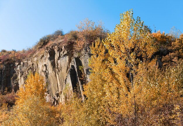 Otoño dorado con árboles de colores en la antigua cantera. Rocas y arboles amarillos