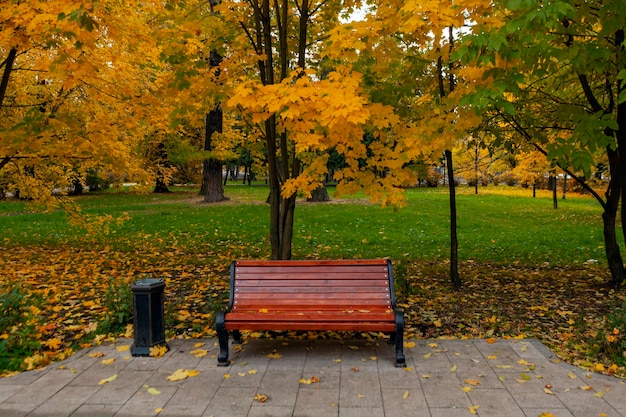 Otoño dorado en el parque de Moscú. hojas amarillas en la acera.