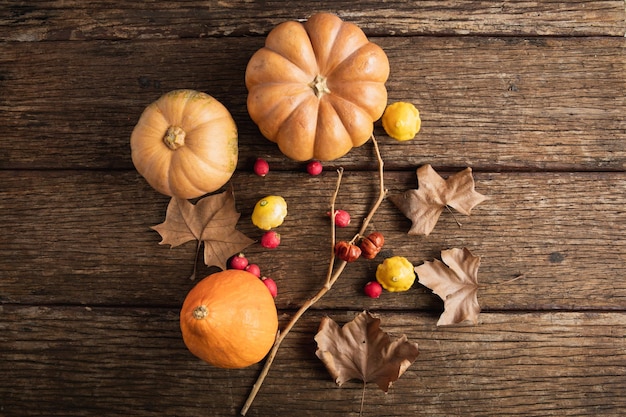 El otoño estaba lleno de calabazas.