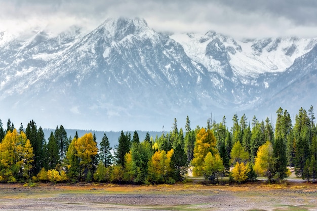 Otoño en Grand Tetons