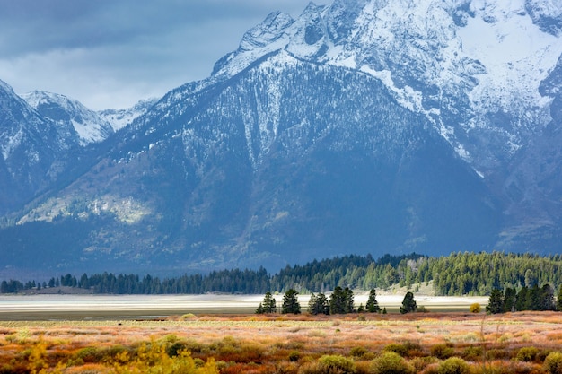 Otoño en Grand Tetons