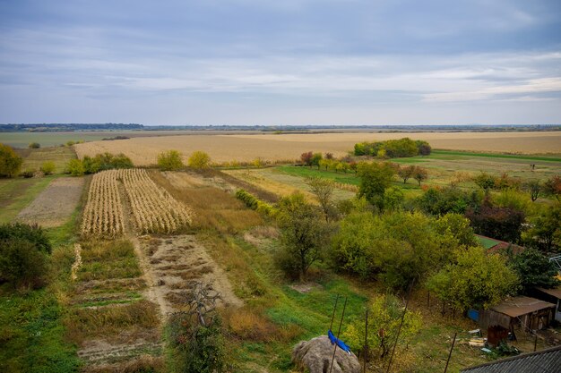 Otoño en granja americana con campo de maíz de cosecha