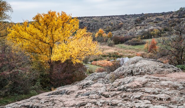 Otoño hermosa vegetación amarillenta y piedras grises cubiertas de líquenes y musgos multicolores en las colinas de la naturaleza y la pintoresca Ucrania