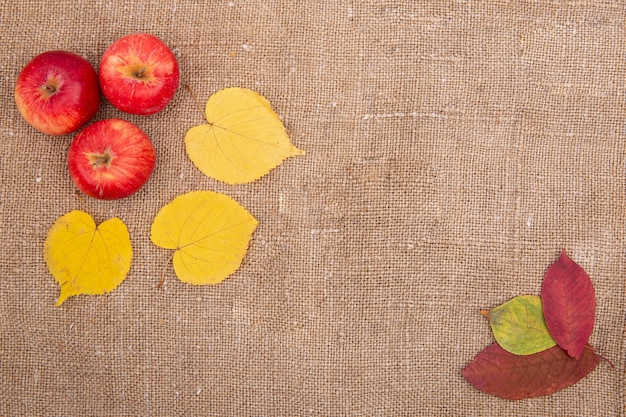 Foto otoño hojas amarillas y rojas de bayas frutas nueces caen.