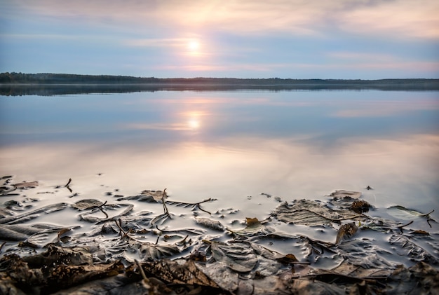 Foto otoño hojas caídas en el agua del lago y el horizonte con sol poniente