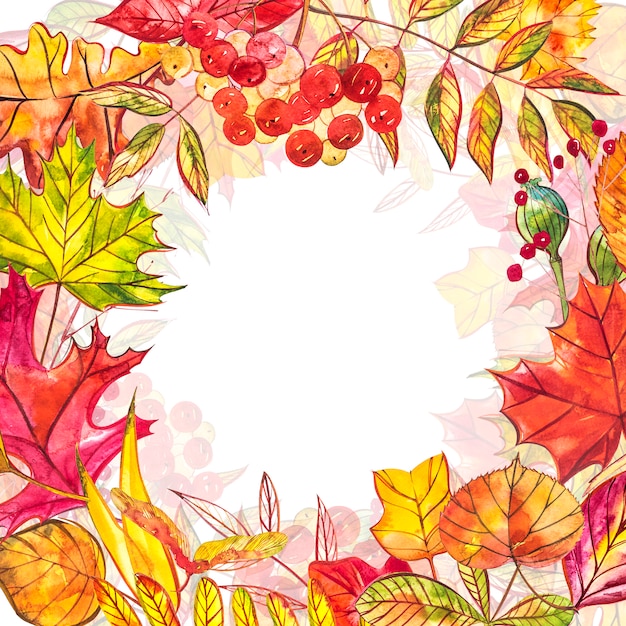 Otoño con hojas doradas y rojas con bayas. Ilustración acuarela