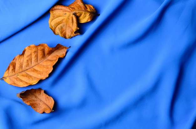 Foto otoño de hojas marrones sobre un fondo de tela azul, en pliegues.