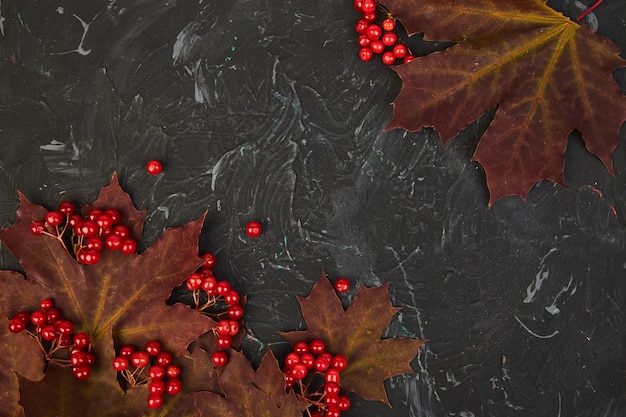 Otoño con hojas rojas de arce otoñal y bayas de viburnum