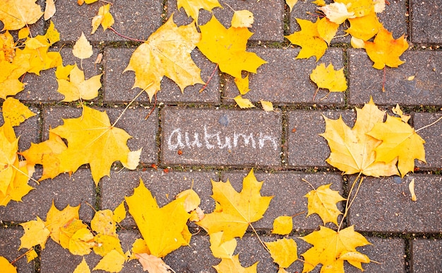 Otoño de inscripción de tiza en el azulejo de asfalto entre las hojas de otoño concepto otoño cayendo