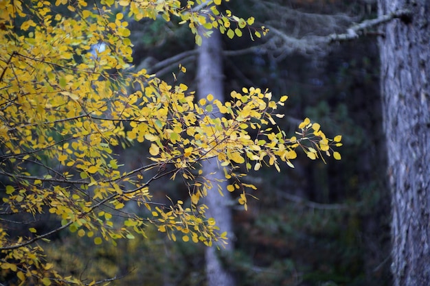 Otoño en Italia Calabria