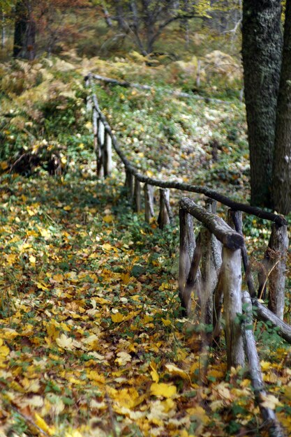 Otoño en Italia Calabria