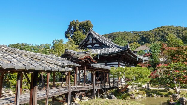 Otoño en Japón buscando hojas rojas de arce Kioto