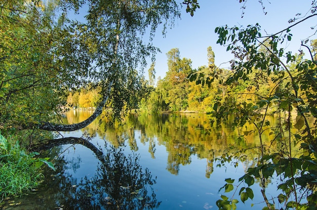 el otoño del lago