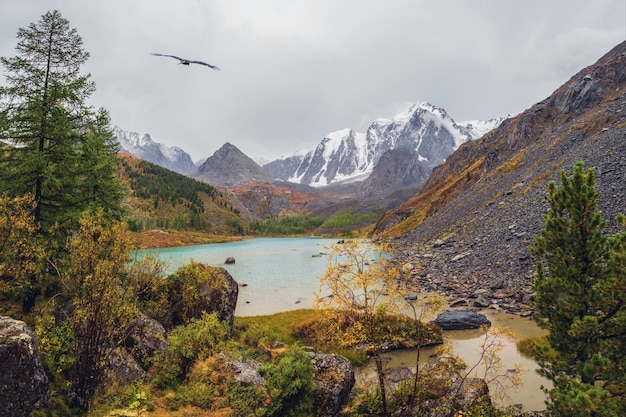 Otoño lluvioso paisaje alpino con hermoso lago de montaña poco profundo con arroyos en el valle de las tierras altas de montañas más grandes bajo un cielo nublado. Lago Upper Shavlin en Altai.