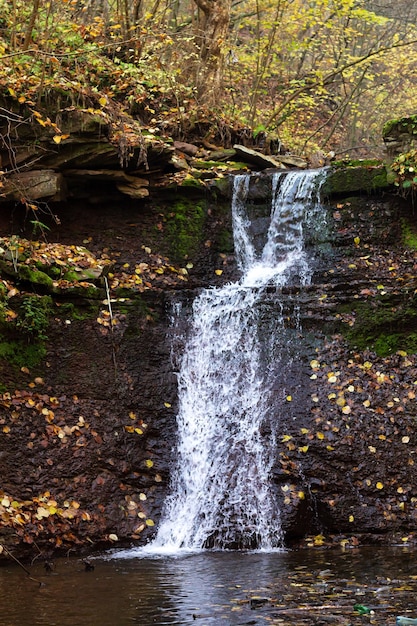 Otoño montaña bosque cascada paisaje escénico