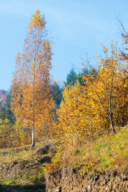 Otoño montañas de los Cárpatos Ucrania