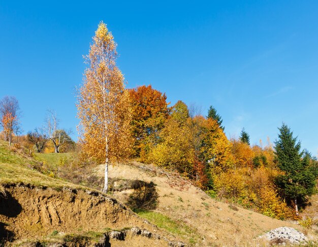 Otoño montañas de los Cárpatos Ucrania