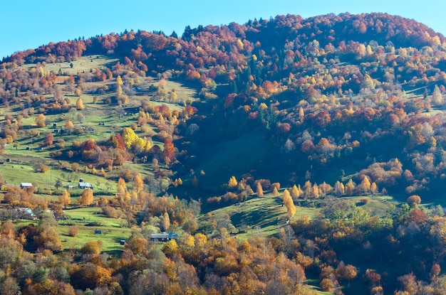 Otoño montañas de los Cárpatos Ucrania