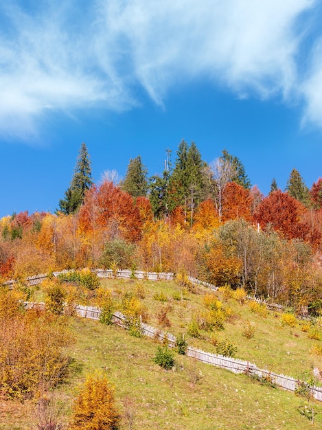 Otoño montañas de los Cárpatos Ucrania