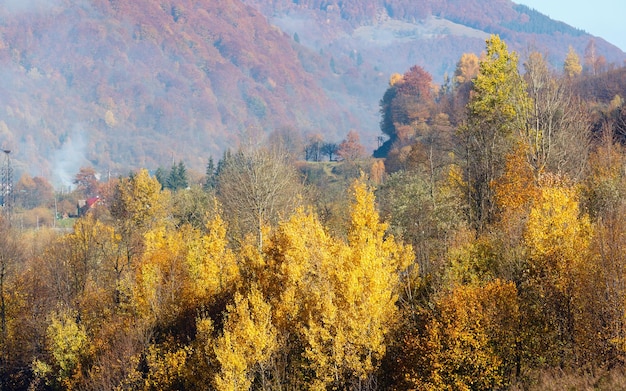 Otoño montañas de los Cárpatos Ucrania