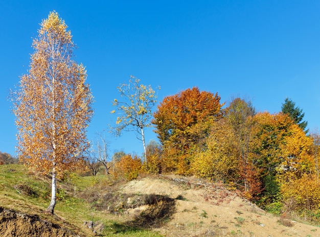 Otoño montañas de los Cárpatos Ucrania