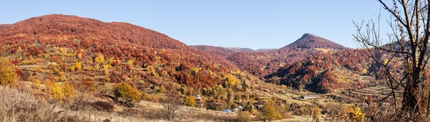 Foto otoño en las montañas de los cárpatos